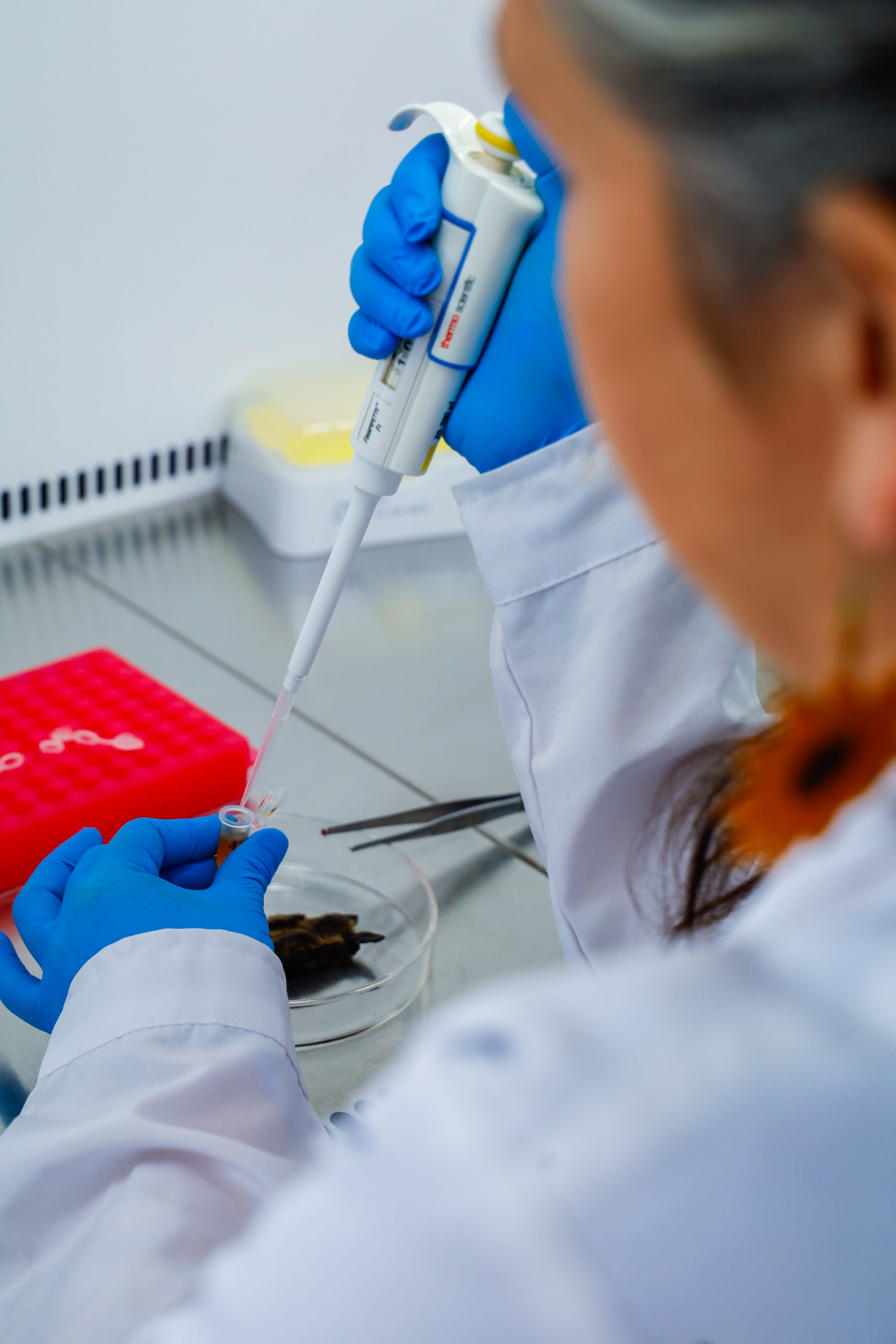 Laboratorios Colchagua - Investigación-10